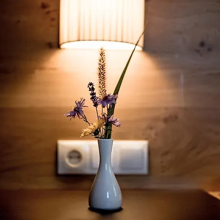 公寓式酒店 Barbara & 斯拉德明