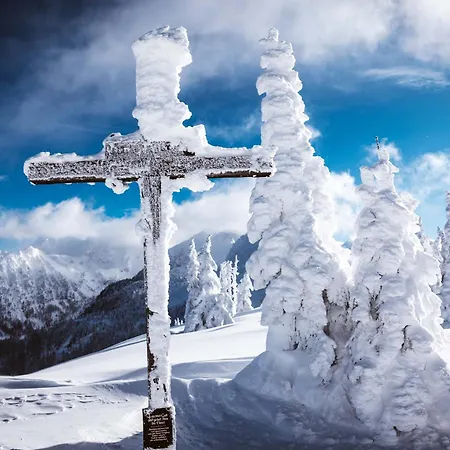 Barbara & 斯拉德明