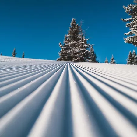 Aparthotel Barbara & 4*