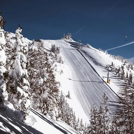 Ξενοδοχείο με διαμερίσματα Barbara & Schladming