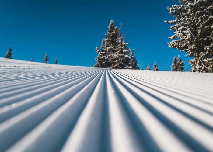 Aparthotel Barbara & 4*